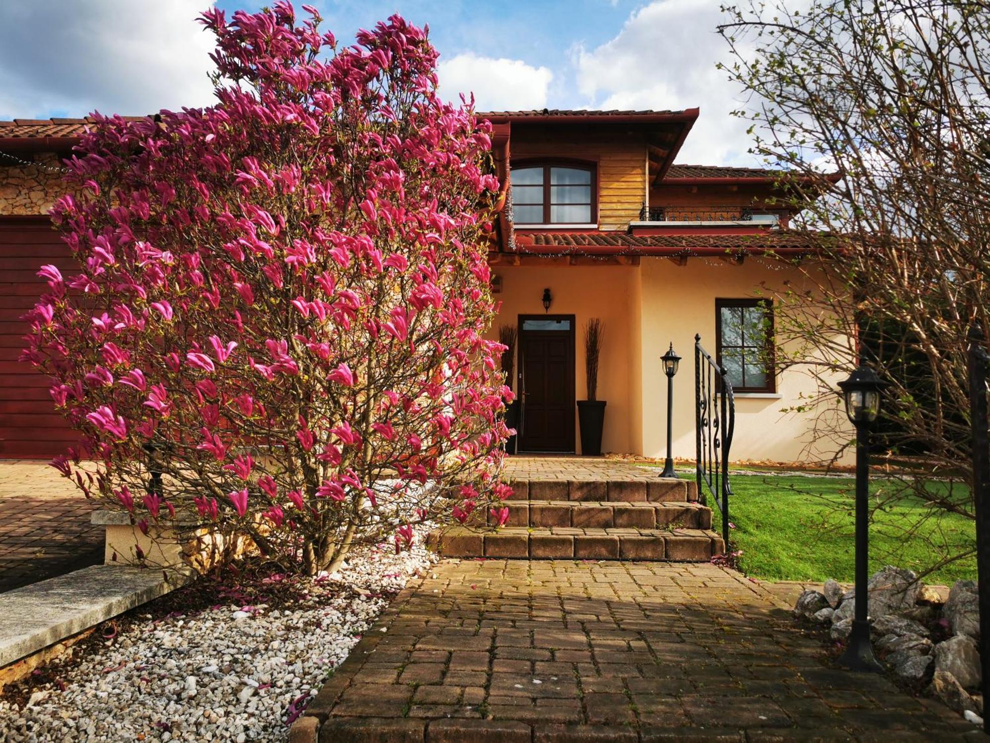 Luxury Basement In The Surrounding Of Budapest Apartamento Mogyoród Exterior foto